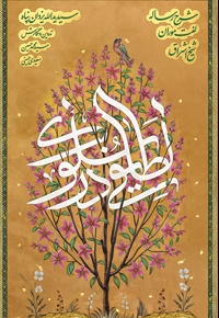 لطایفی در سلوک